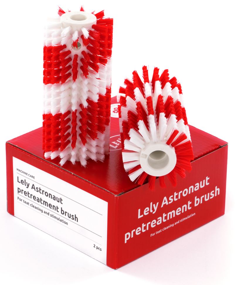 Pretreatment brush